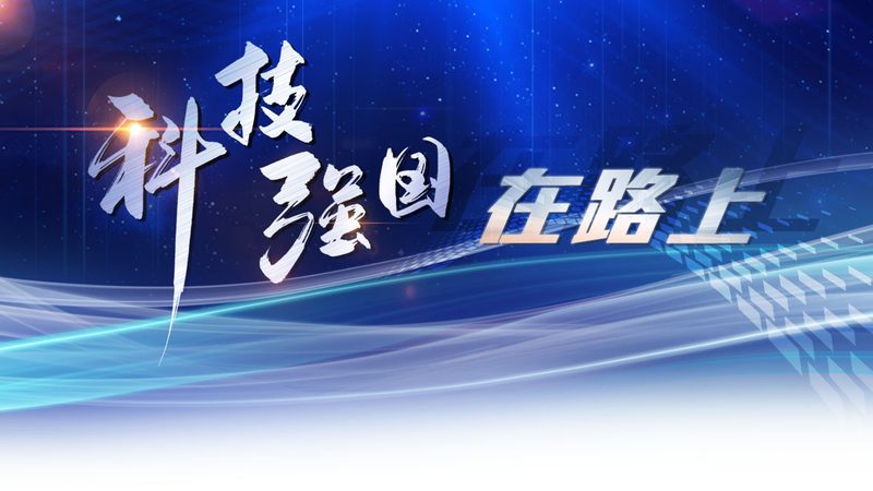 数据仓库报表开发实施规范：构建高效决策支持系统的关键步骤